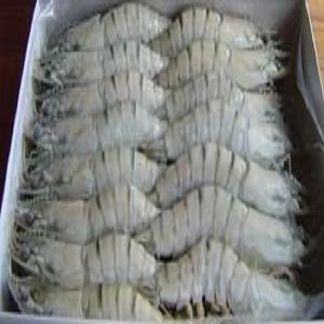 Salted Baby Shrimp With Cheap Price Good Quality