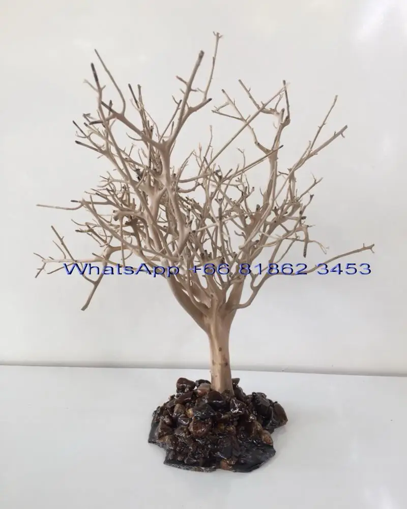 Aquarium Bonsai Driftwood