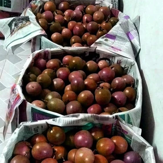 Свежий фрукт страсти-высокое качество и Лучшая цена