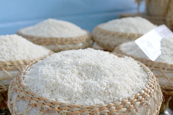 Cheapest Sticky rice/While Sticky Rice  from Vietnam