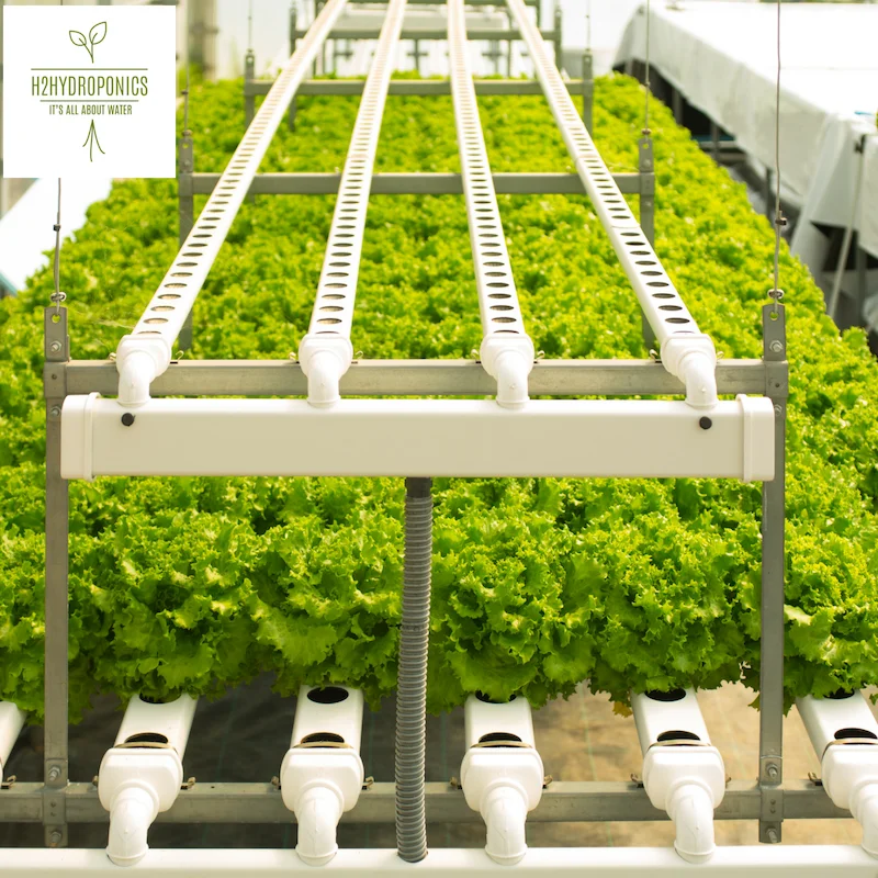 H2hybrid hydroponic NFT aeroponics and aquaponic growing systems