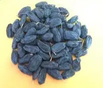 Black raisin from Uzbekistan