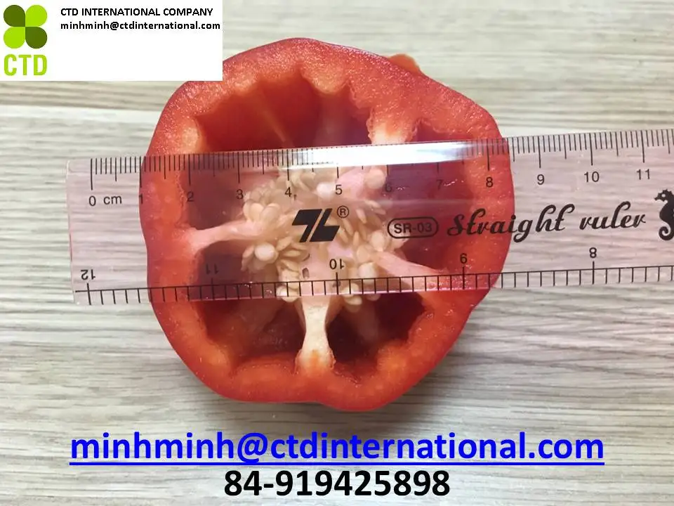 
red bell pepper from vietnam processor 