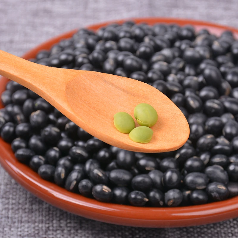 
7mm up Black Bean with Yellow / Green Kernel 