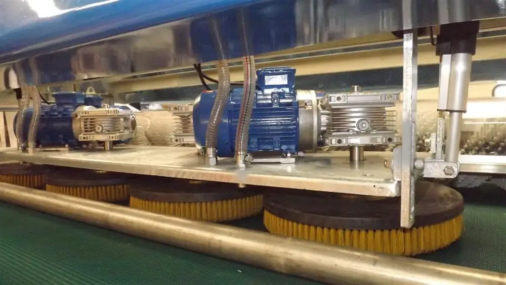 Best carpet washing machine price