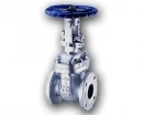 Japanese Industrial globe valves, gate valves and swing check valve for LNG, looking for distributors in Thailand