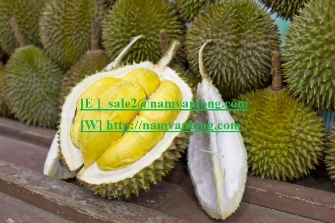 Лучшее качество для свежего дуриана | Дуриан высшего качества из Вьетнама | Большая распродажа 15% скидка