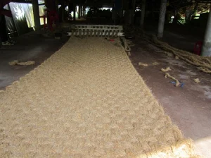 COIR FIBER NET FOR GROWING VEGETABLE