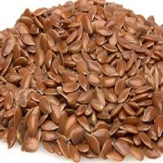 Indian origin Flax seed alsi  seeds