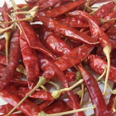 Dried Chilli Pepper