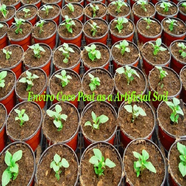 Lowest Price Coconut Coir Pith / Coco Peat for sale Made in India