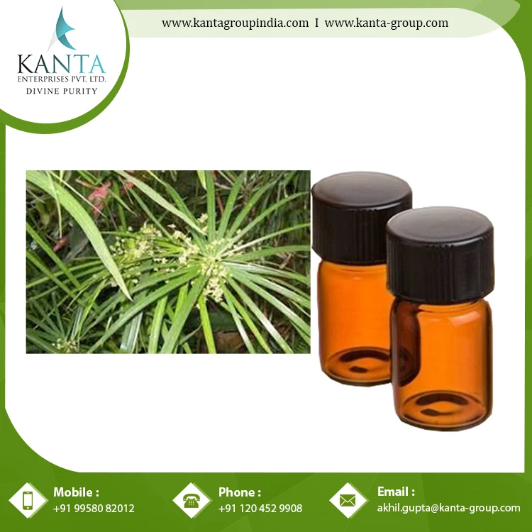 Wholesale Price Pure Cypriol Essential Oil used in the medication of skin diseases at Lowest Price