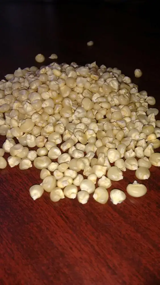 High Quality White Maize