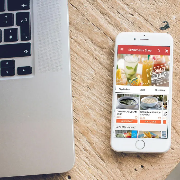 Professional Ecommerce Mobile App Design & Development services in India - ProtoLabz eServices