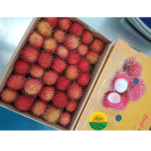 LOW PRICE LOGAN RAMBUTAN FROM VIET NAM