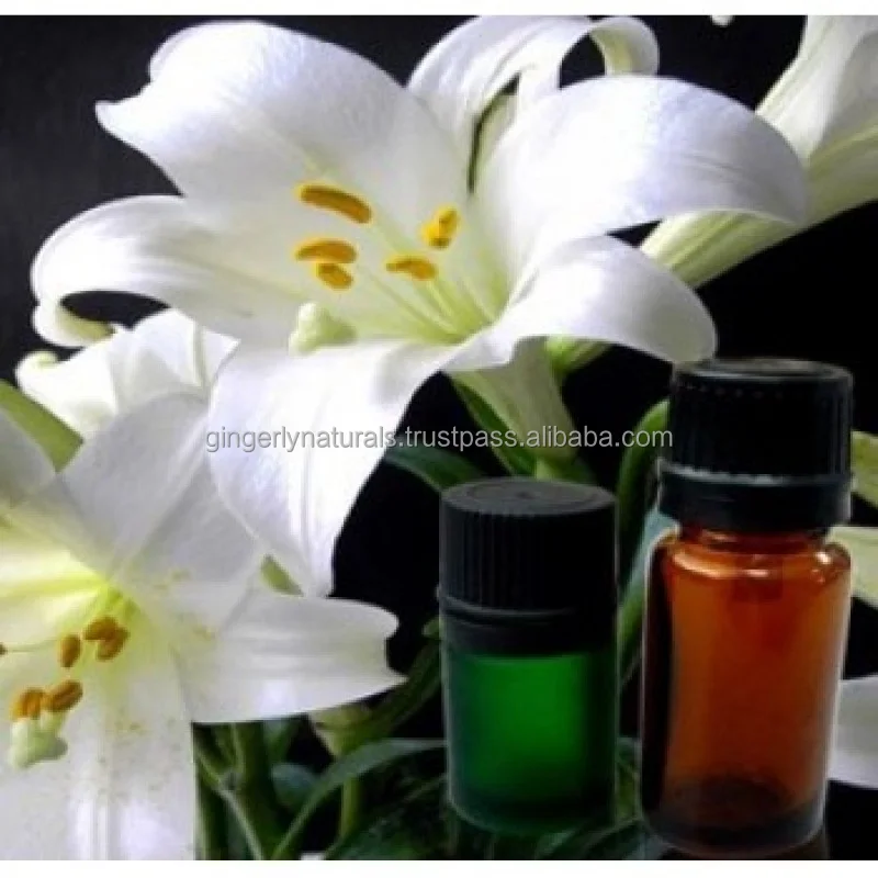 Indian Exporter of Hedychium oil