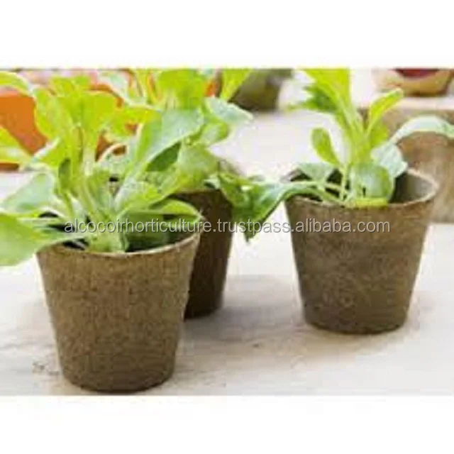 coconut fiber pots for garden