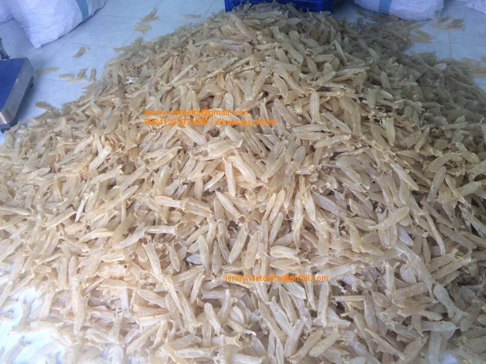 dried sea bass fish maw with high quality