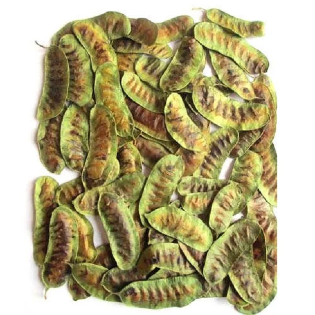 Dried Senna Pods Exporter form India