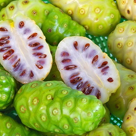 Низкая цена сушеные нони фрукты/сушеные нони фрукты Вьетнам для здоровья