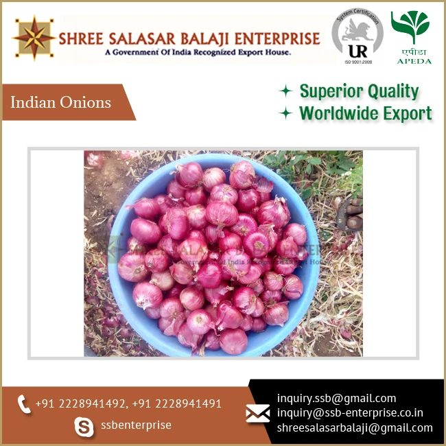 Premium Quality Bulk Selling Export Fresh Red Indian