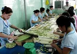 Coconut candy vietnam/coconut milk candy/Milk durian coconut in 2020