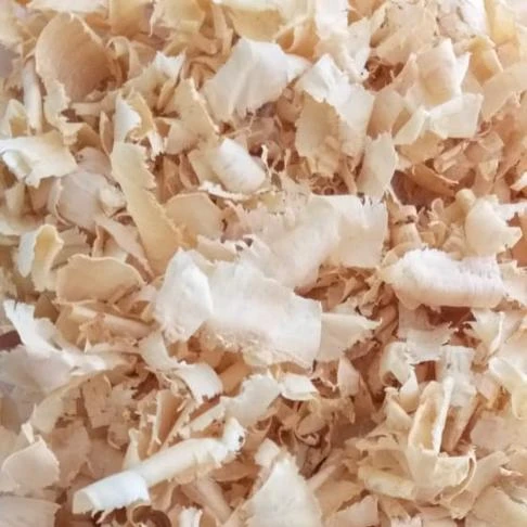 WHITE VIETNAM WOOD SHAVINGS FOR POULTRY ANIMAL PET FARM WHATSAPP:+84 911406611