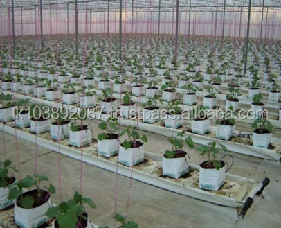 Easyfil Two Planter Bag