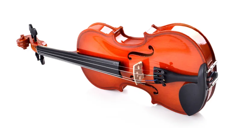 Custom Make 4/4 Good Quality Beginner Violin with Case