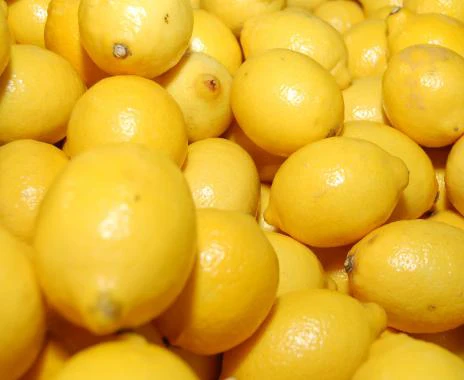 
Fresh Citrus Fruits /Yellow Lemon & Green Lime, yellow Eureka fresh lemon 