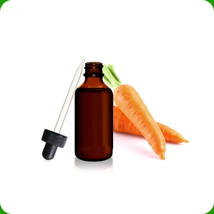Private Label OEM / ODM Supply Organic Carrot Seed Essential Oil large quantity bulk Sale Wholesale Price