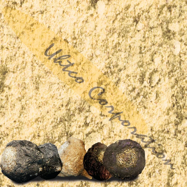 
MacaPro Premium Maca Powder 4to1 Black and red roots 