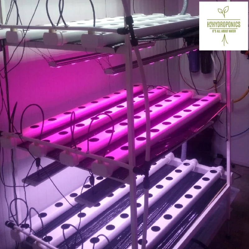 Intensive Vertical Farming in rooftops, hydroponic gardens and green containers