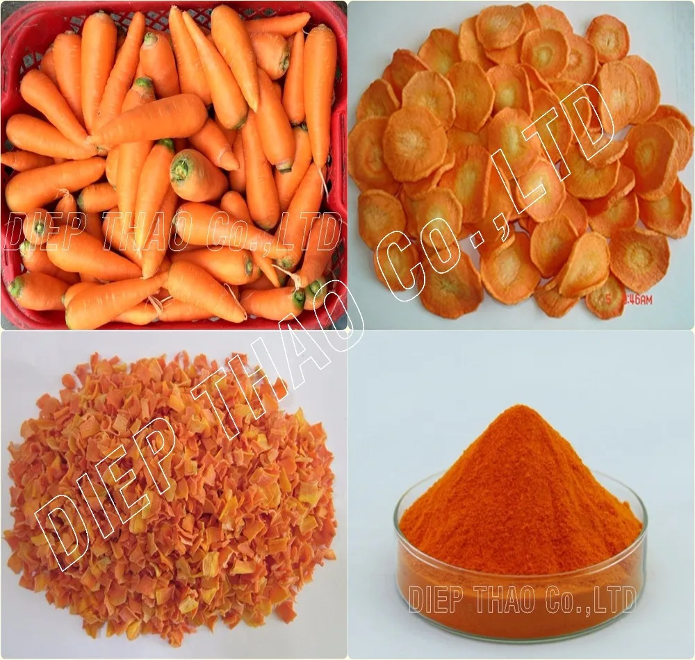 DRIED CARROT/ POWDER CARROT IN VIETNAM