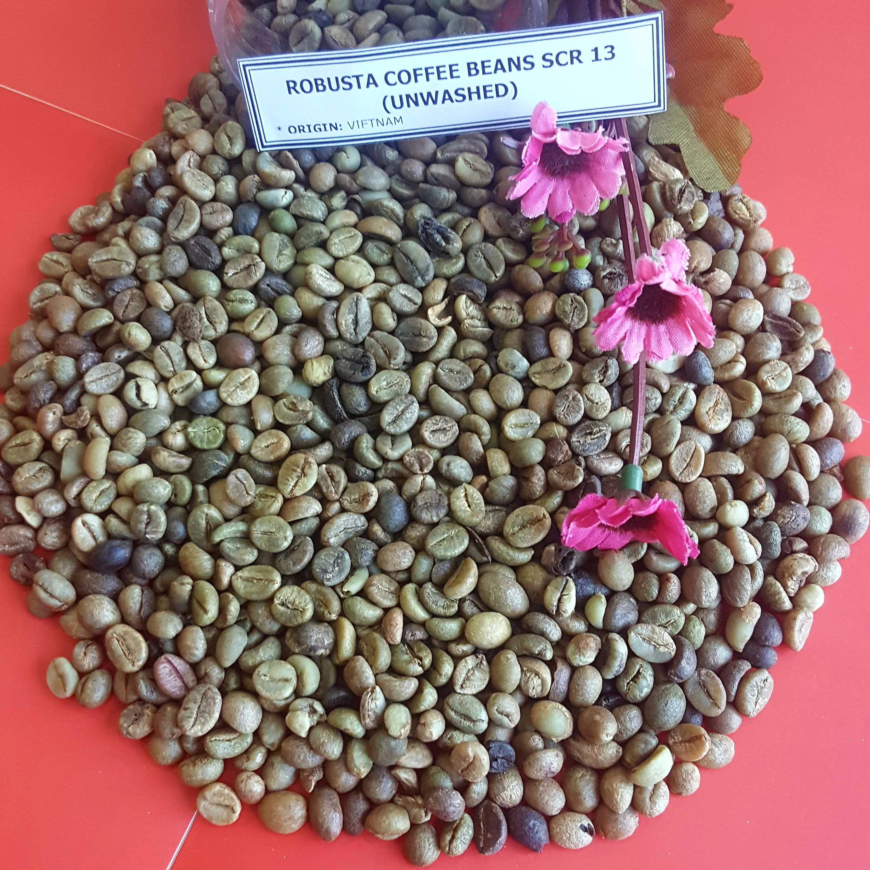 
VIETNAM HIGH QUALITY ARABICA GREEN COFFEE BEANS GOOD PRICE SCR13/ SCR16/ SCR18( +84989322607 whatsapp) 
