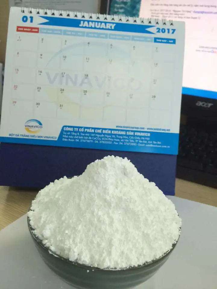 Uncoated Vietnam CaCO3 Powder for Ceramic
