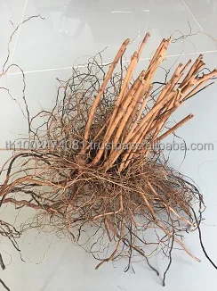 Thailand Driftwood, Small Aquarium Driftwood, Fish Tank Natural Aquarium Accessories