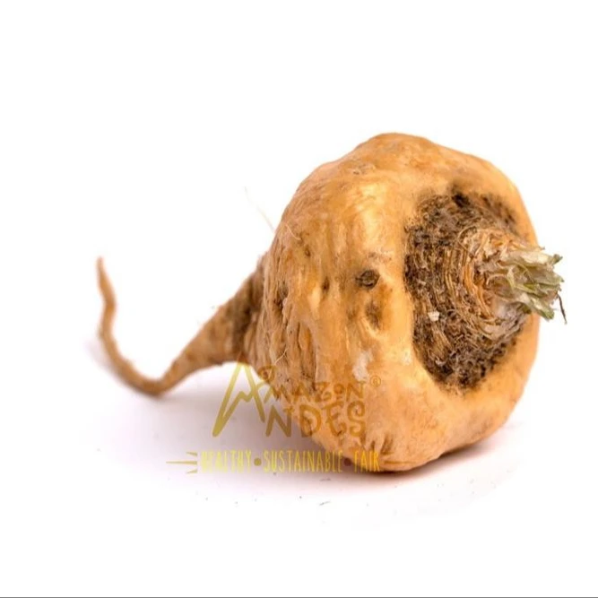 Widely Demanded Fresh And Organic Maca Powder Capsules Available At Cheapest Prices