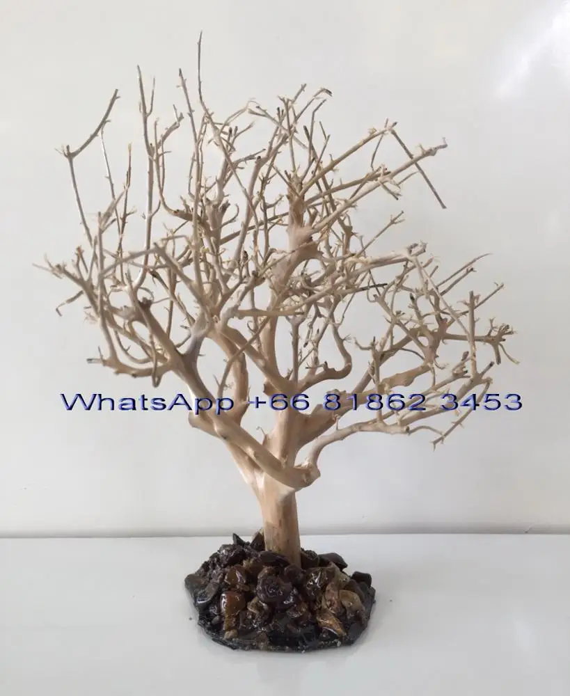 Aquarium Bonsai Driftwood