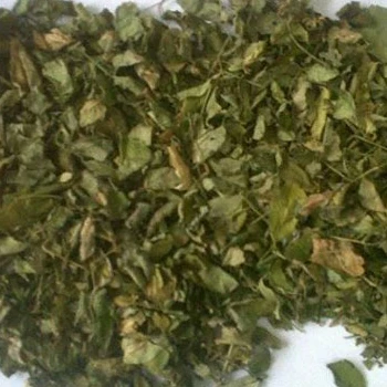 
Moringa dried leaves/moringa leaves/Horseradish treein Viet Nam 