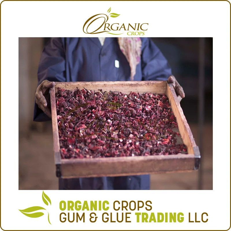 Dried Hibiscus Flowers Best Quality at Wholesale price