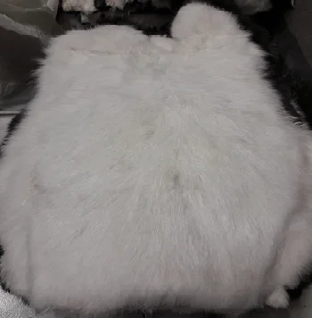 Rabbit Fur Natural White Color Sizes 30 cm Up For Garments / Decoration