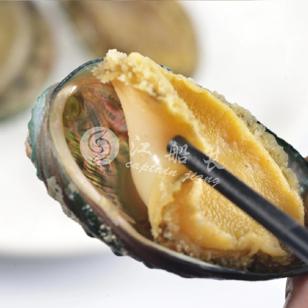 
GUTTING FROZEN ABALONE IN SHELL 40-50g/PCS 
