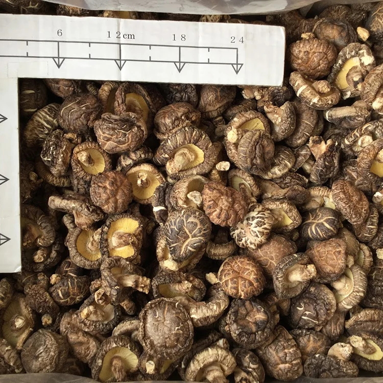 
Japan Oita dried food Brown fresh bulk dried shiitake mushrooms sale 