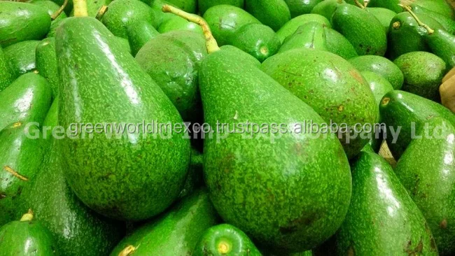 Свежий авокадо-Премиум качество для продажи