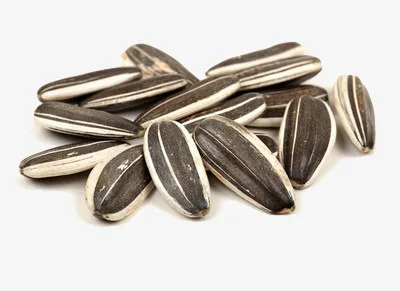 
Sunflower Seed for Sale at Low Price 