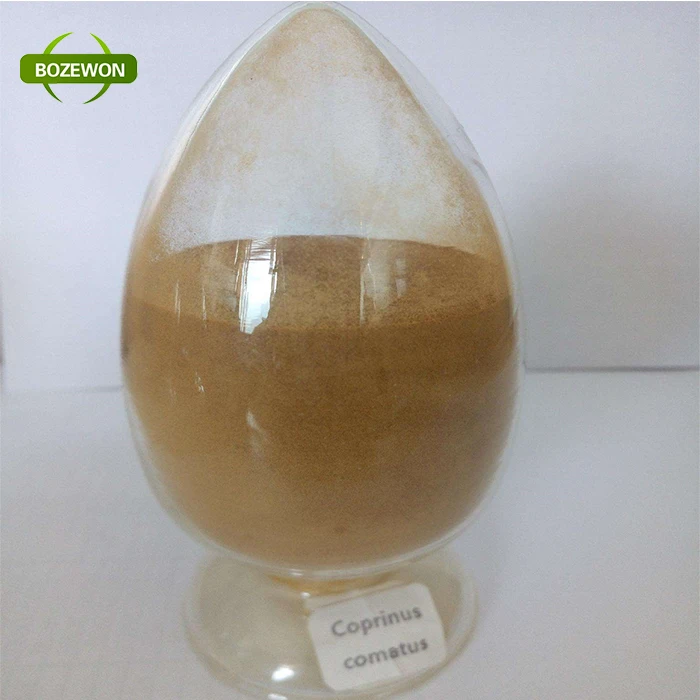 Экстракт coprinus comatus, экстракт ворсистых грибов 10%-50% Полисахариды