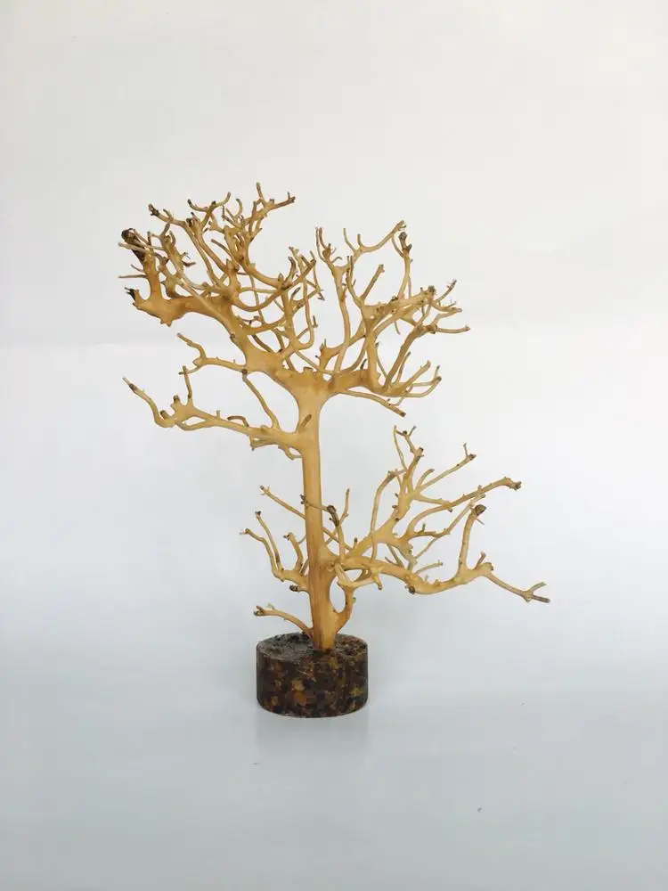 Небольшая скульптура ветки дерева Уникальные аквариумные аксессуары