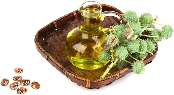 Best Quality of Bulk Quantity Castor Oil Supplier