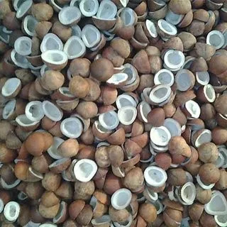 
Coconut copra/semi husked coconut/Mature coconut in 2020 